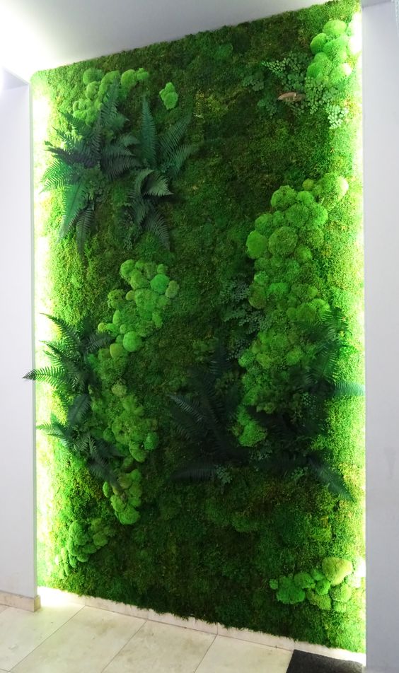Preserved Premium Flat - Forest Moss - Large Box Cover 1 m2, Natural ...